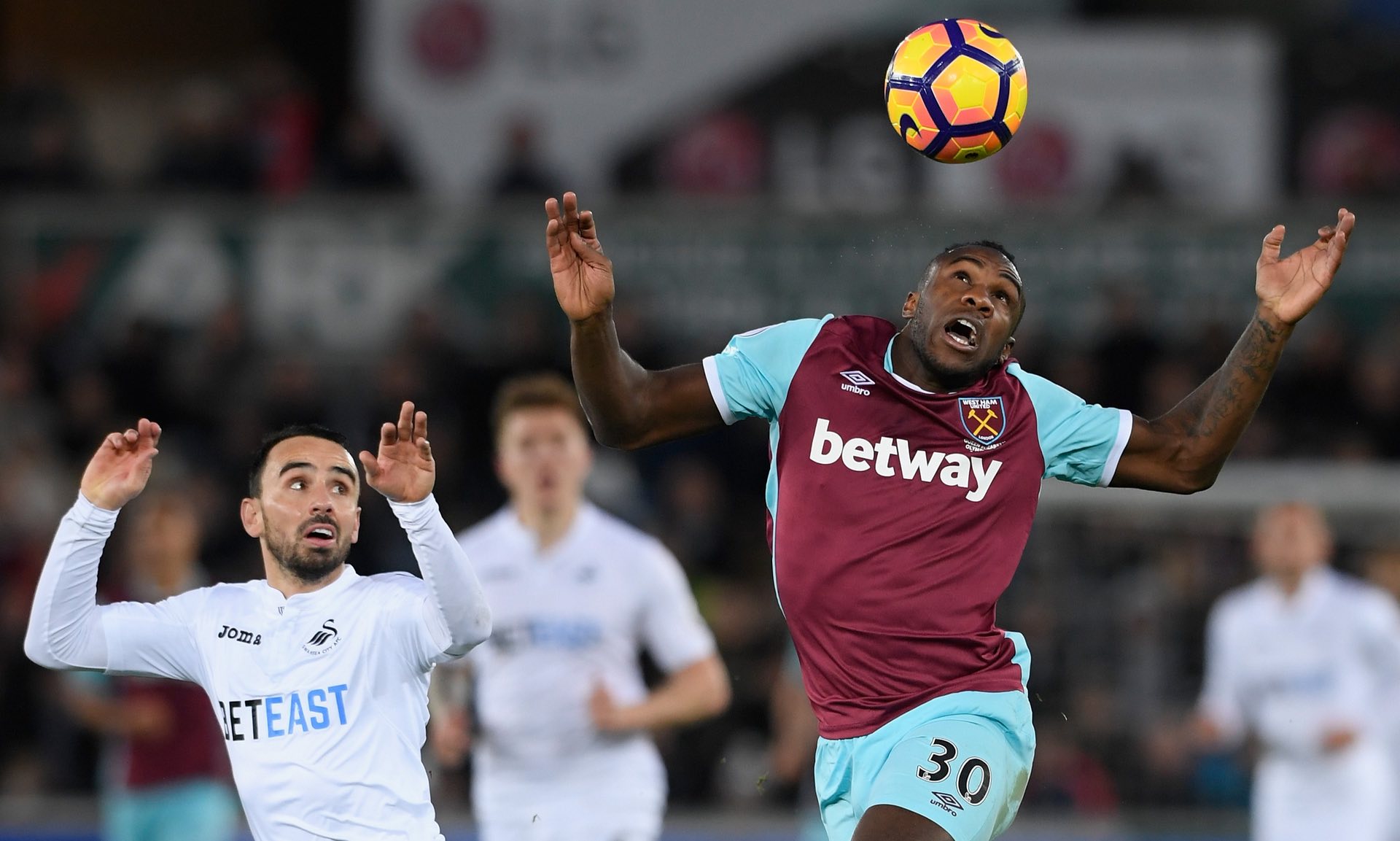 的双重优势 的双重优势